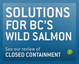 Solutions for BC's wild salmon - See our closed 
containment review