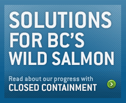 Solutions for BC's wild salmon - See our closed
containment review